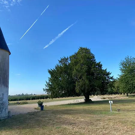 Maison Spacieuse Avec Jardin Privatif, Ideale Pour 6, Proche Orleans Et Chateaux De La Loire - Fr-1-590-236 *