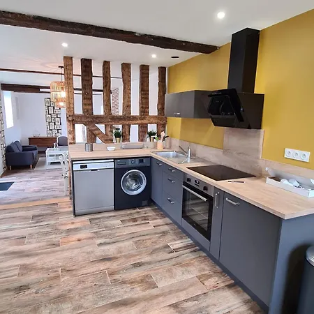 Maison Spacieuse Avec Jardin Privatif, Ideale Pour 6, Proche Orleans Et Chateaux De La Loire - Fr-1-590-236 *