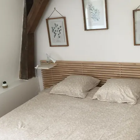 Maison Spacieuse Avec Jardin Privatif, Ideale Pour 6, Proche Orleans Et Chateaux De La Loire - Fr-1-590-236