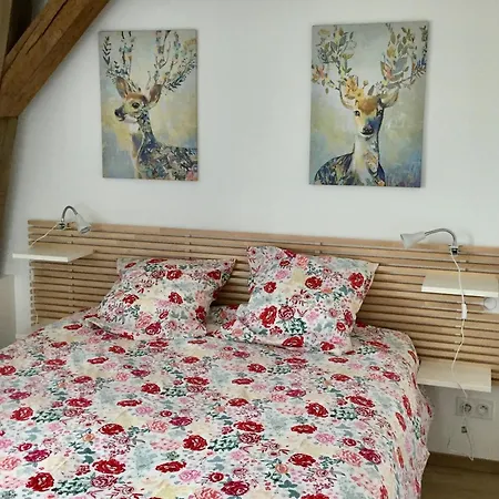 Holiday home Maison Spacieuse Avec Jardin Privatif, Ideale Pour 6, Proche Orleans Et Chateaux De La Loire - Fr-1-590-236