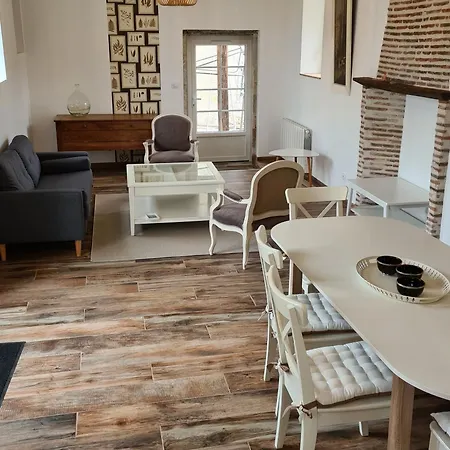 Maison Spacieuse Avec Jardin Privatif, Ideale Pour 6, Proche Orleans Et Chateaux De La Loire - Fr-1-590-236